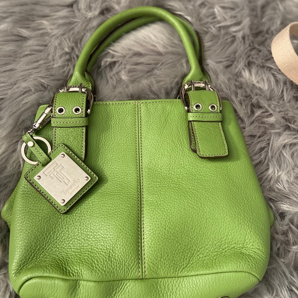 Tignanello Bag - image 1